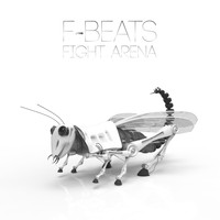 F-Beats - Fight Arena