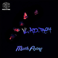 Vlad-Reh - Moth Flying