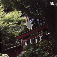 Merzbow - Niwatori: 13 Japanese Birds Pt. 10