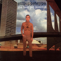 Stilluppsteypa - The Best Pet Possible