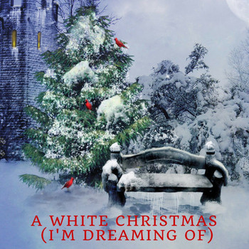 Various Artists - A White Christmas (I'm Dreaming Of)