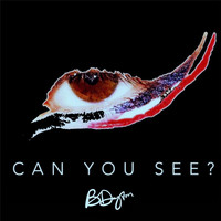 B Dayton - Can You See?