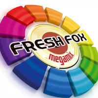 Fresh Fox - Megamix 2010