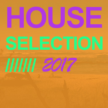 Various Artists - House Selection 2017