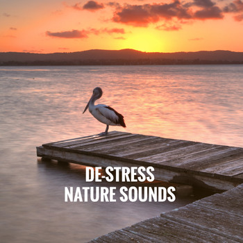 Relaxing Rain Sounds, Sleep Rain and Soothing Sounds - De-Stress Nature Sounds