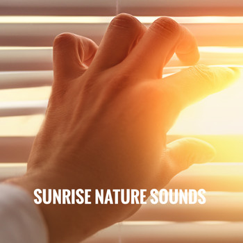Rest & Relax Nature Sounds Artists, Healing Sounds for Deep Sleep and Relaxation and Ocean Sounds Co - Sunrise Nature Sounds