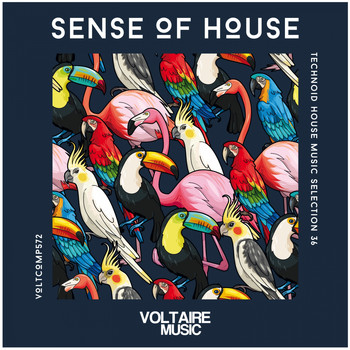 Various Artists - Sense Of House, Vol. 36