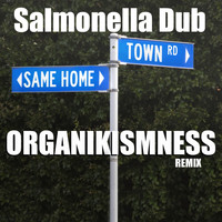 Salmonella Dub - Same Home Town (Organikismness Remix)