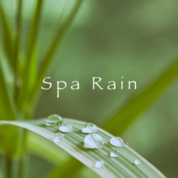 Rest & Relax Nature Sounds Artists, Sounds of Nature Relaxation and Sleep Sounds of Nature - Spa Rain