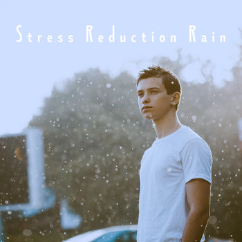 Nature Sounds, Rain Sounds and Rain - Stress Reduction Rain