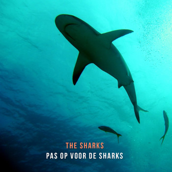 The Sharks - Pas Op Voor De Sharks