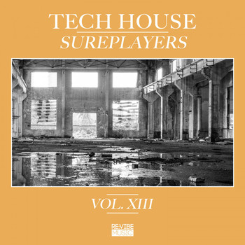 Various Artists - Tech House Sureplayers, Vol. 13