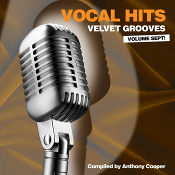 Various Artists - Vocal Hits Velvet Grooves Volume Sept!