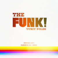 Yuriy Poleg - The Funk