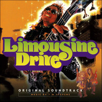 TM Stevens - Limousine Drive