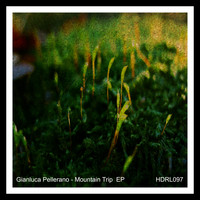 Gianluca Pellerano - Mountain Trip EP