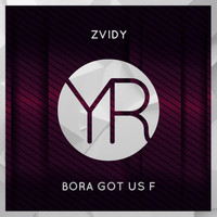 Zvidy - Bora Got Us F