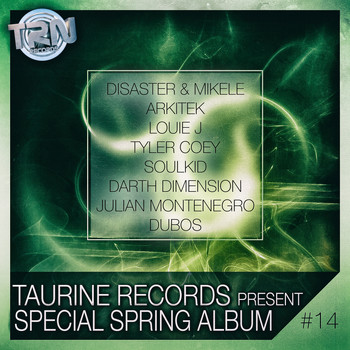 Various Artists - Special Spring Album