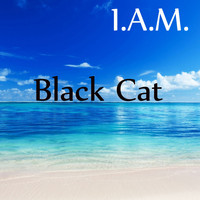I.A.M. - Black Cat
