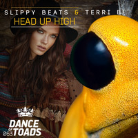 Slippy Beats & Terri B! - Head Up High