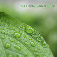 Rain Sounds, Nature Sounds & Rain for Deep Sleep - Loopable Rain Sounds