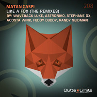 Matan Caspi - Like a Fox The Remixes