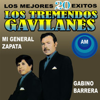 Los Tremendos Gavilanes - Los Mejores 20 Éxitos