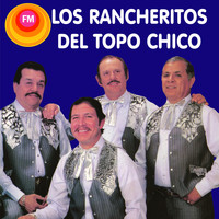 Los Rancheritos Del Topo Chico - Éxitos