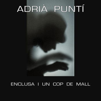 Adrià Puntí - Enclusa I Un Cop De Mall
