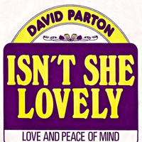 David Parton - Isn't She Lovely