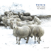Velkro - Too Lazy to Panic