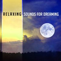 Chakra's Dream - Relaxing Sounds for Dreaming – New Age Dreaming Songs, Sounds for Long Sleep, Music to Calm Down