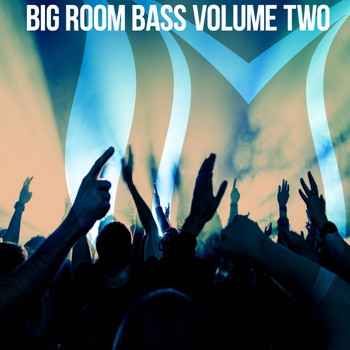 Various Artists - Big Room Bass, Vol. 2