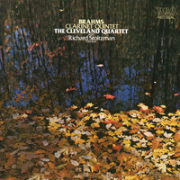 Richard Stoltzman - Brahms: Quintet in B Minor for Clarinet and Strings, Op. 115