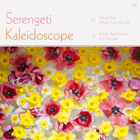 Serengeti - Kaleidoscope