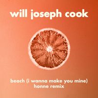 Will Joseph Cook - Beach (HONNE Remix)