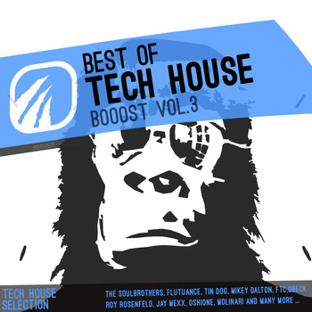 Various Artist - Best of Tech House Booost Vol.3