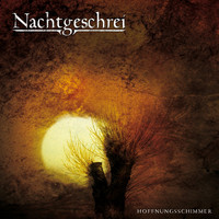 Nachtgeschrei - Hoffnungsschimmer