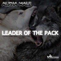 Alpha Male - Leader of the Pack