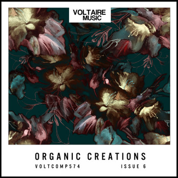 Various Artists - Organic Creations Issue 6