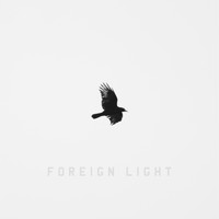 Toddla T - Foreign Light (Explicit)