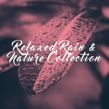 Rest & Relax Nature Sounds Artists, Sounds of Nature Relaxation and Sleep Sounds of Nature - Relaxed Rain & Nature Collection