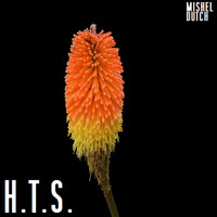Mishel Dutch - H.T.S.