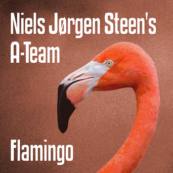 Various Artists - Flamingo
