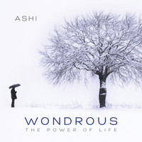 Ashi - Wondrous