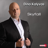 Dino Kalyvas - Skyfall