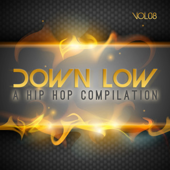 Various Artists - Down Low Hip Hop Compilation, Vol. 8 (Explicit)
