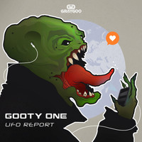 Gooty One - Ufo Report