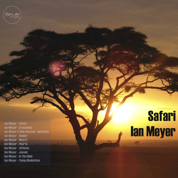 Ian Meyer - Safari
