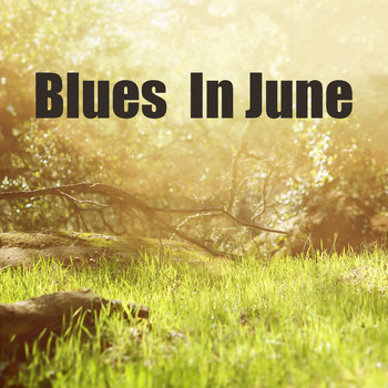 Various Artists - Blues In June